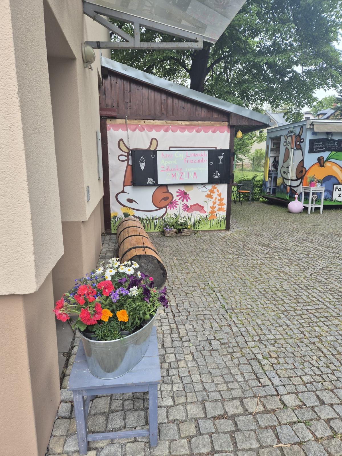 Zmrzlina